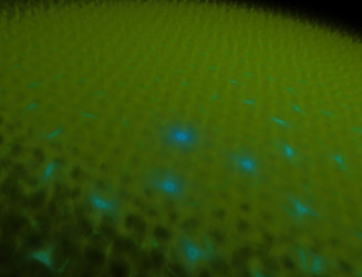 Similar image 22281127