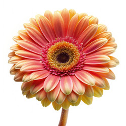 Similar image 22252770