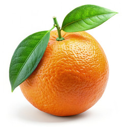 Similar image 22252771