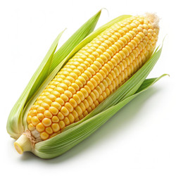 Similar image 22252772