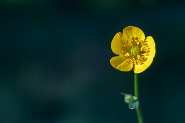 Similar image 22251417