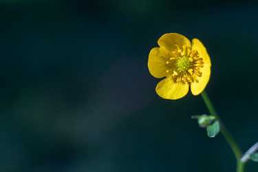 Similar image 22251418