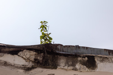 Similar image 22268592