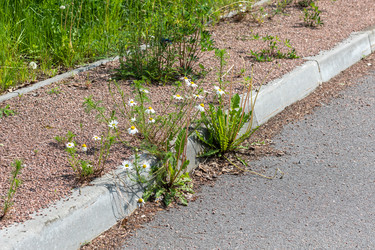 Similar image 22268593