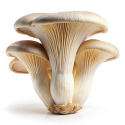 Similar image 22252302