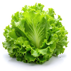 Similar image 22252310