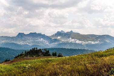 Similar image 22256334