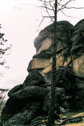 Similar image 22266580