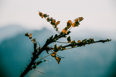 Similar image 22266581