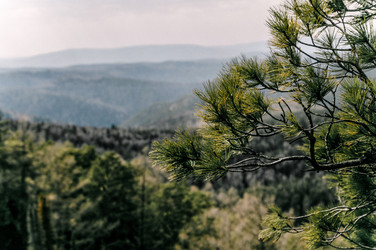 Similar image 22266740