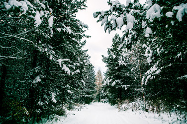 Similar image 22266741