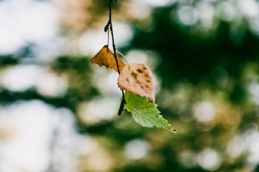 Similar image 22266743