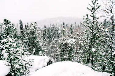 Similar image 22266748