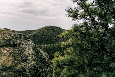 Similar image 22267011