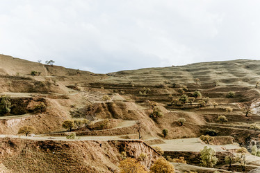 Similar image 22267012