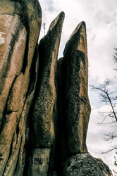 Similar image 22267023