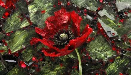 Similar image 22272689