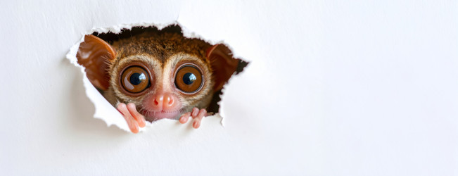 Similar image 22272699