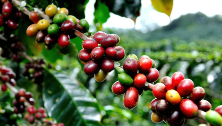 Similar image 22272995