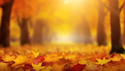 Similar image 22273008