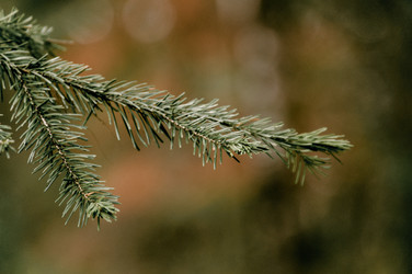 Similar image 22268111