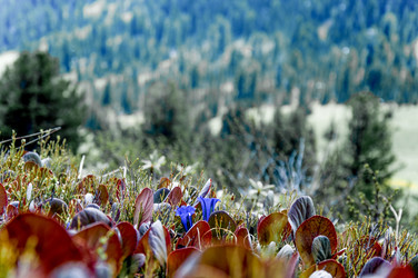 Similar image 22268116