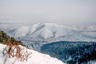 Similar image 22268120