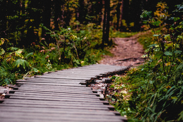 Similar image 22268121