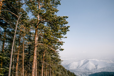 Similar image 22268122