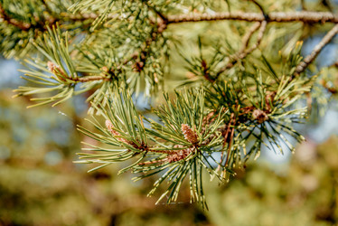 Similar image 22268123