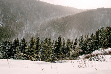 Similar image 22268126