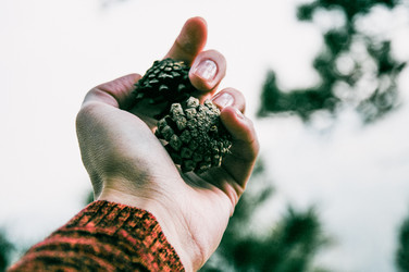 Similar image 22268271