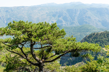 Similar image 22256092