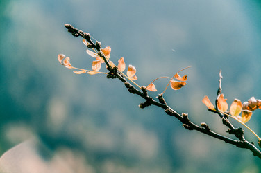 Similar image 22256167