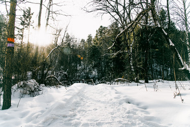 Similar image 22256169