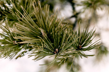 Similar image 22256171