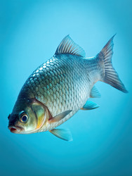 Similar image 22252314