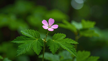 Similar image 22272515