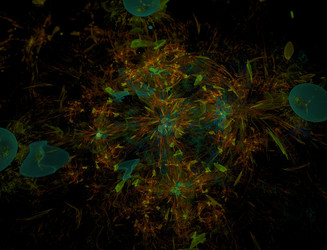 Similar image 22281129