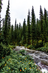 Similar image 22256350