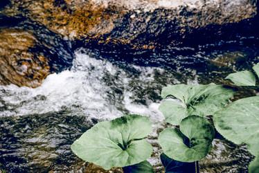 Similar image 22256351