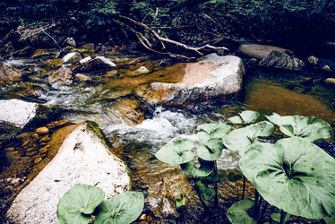 Similar image 22256352