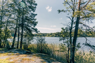 Similar image 22256356