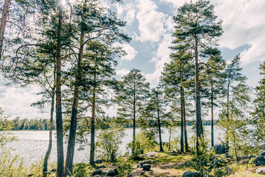 Similar image 22256358