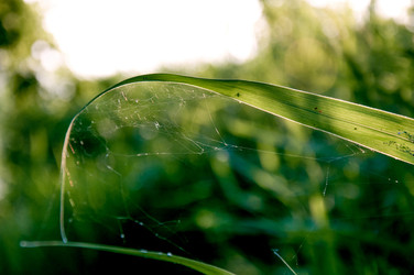 Similar image 22256369