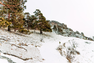 Similar image 22256370