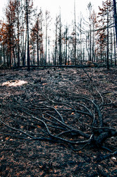 Similar image 22256371