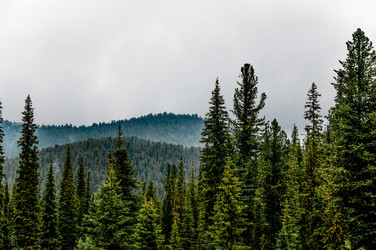 Similar image 22256373