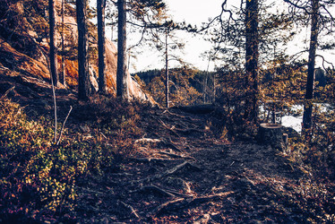 Similar image 22256379