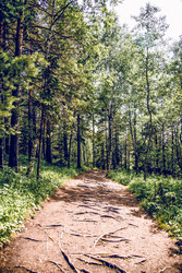 Similar image 22256380